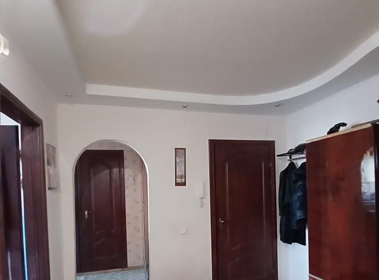 квартира г Самара Российская ул Советской Армии 223а фото 3