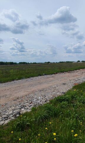 земля Залинейный 9749 км, Раменский муниципальный округ, Егорьевское шоссе фото