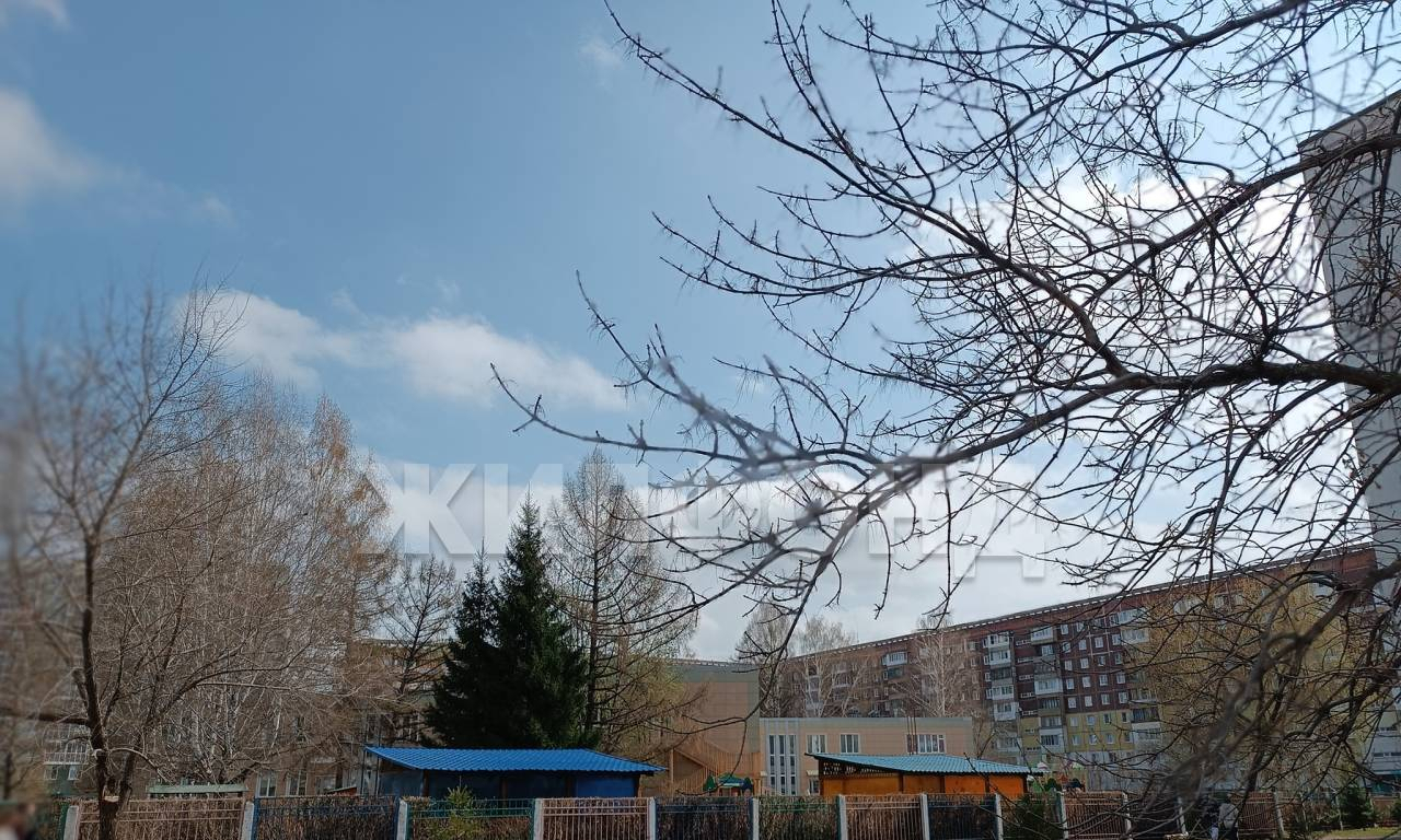квартира г Кемерово р-н Ленинский пр-кт Московский 41 Шалготарьян м-н фото 36