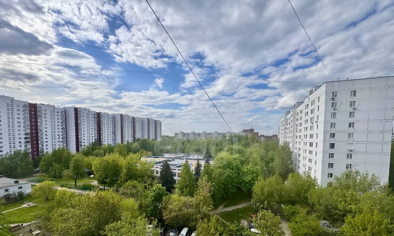 квартира г Москва п Вороновское снт Южное метро Измайлово ул Челябинская 21 муниципальный округ Ивановское фото 18