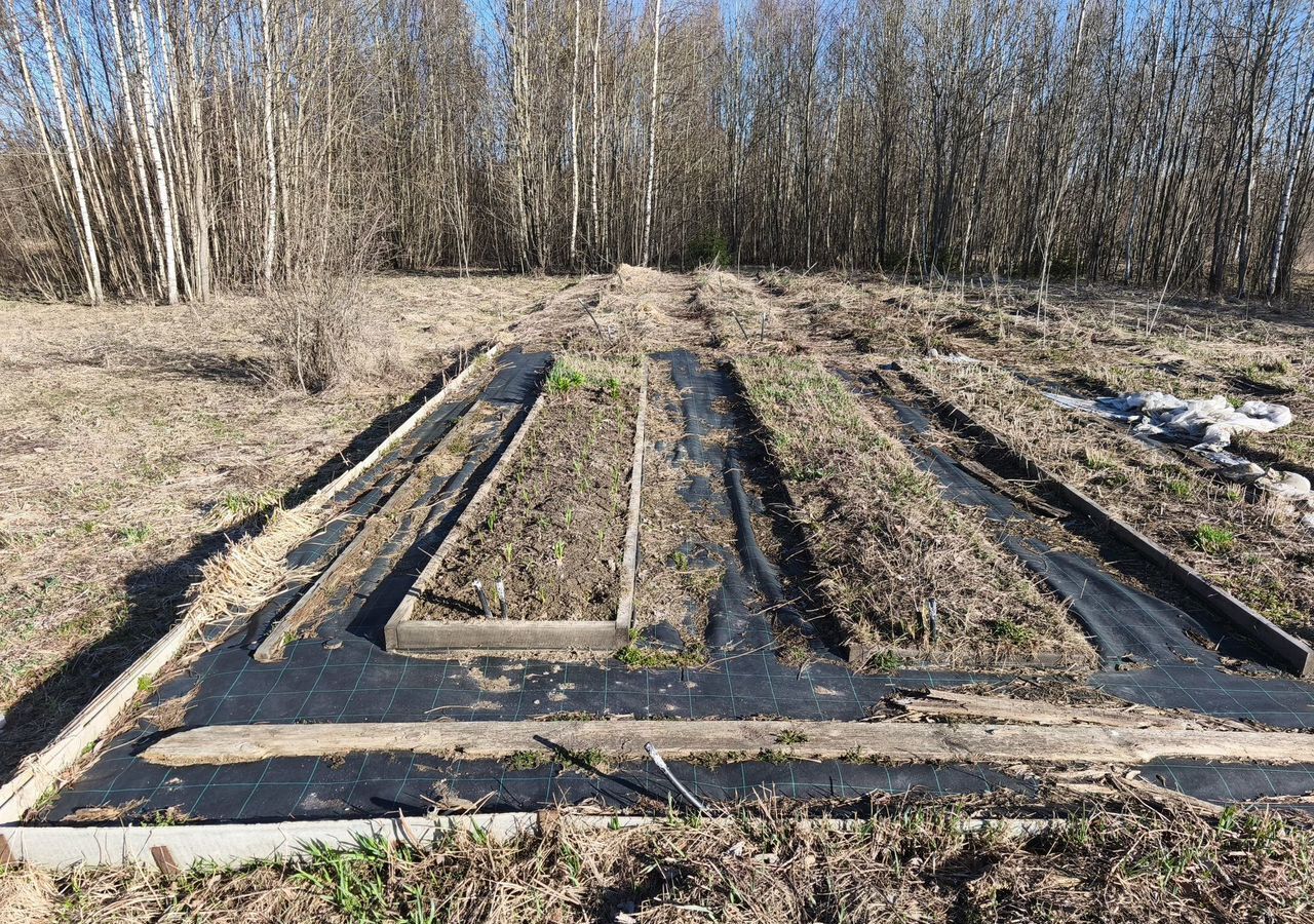 земля городской округ Клин г Высоковск 76 км, поселение Лучезарное, г. о. Клин, Ленинградское шоссе фото 3