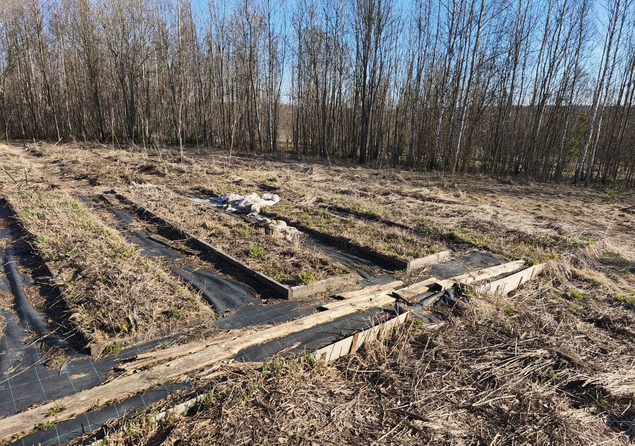 земля городской округ Клин г Высоковск 76 км, поселение Лучезарное, г. о. Клин, Ленинградское шоссе фото 4