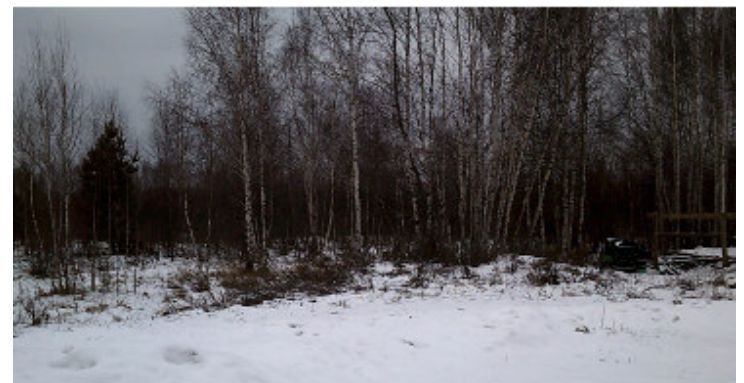 офис г Нижний Новгород р-н Нижегородский фото 1