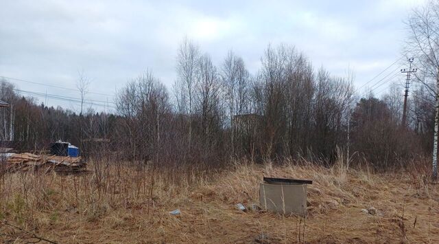 снт Турейка-2 Наро-Фоминский городской округ фото