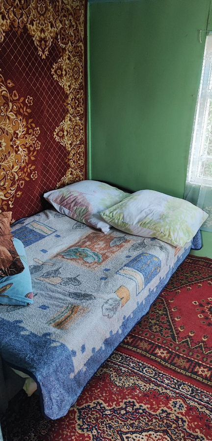 дом г Барнаул р-н Центральный снт Октябрьский садовод 19-я ул., 172Б фото 16