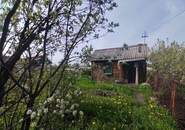 Кемеровская обл. — Кузбасс, общество садоводов Транспортник, Прокопьевск фото