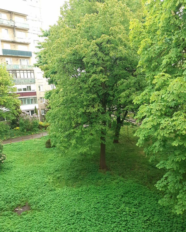 квартира г Калининград р-н Ленинградский ул Сергеева 15 фото 22