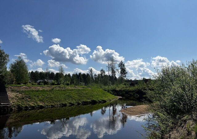 земля аллея Еловая 13 р-н Курортный Зеленогорское шоссе, 16 км фото