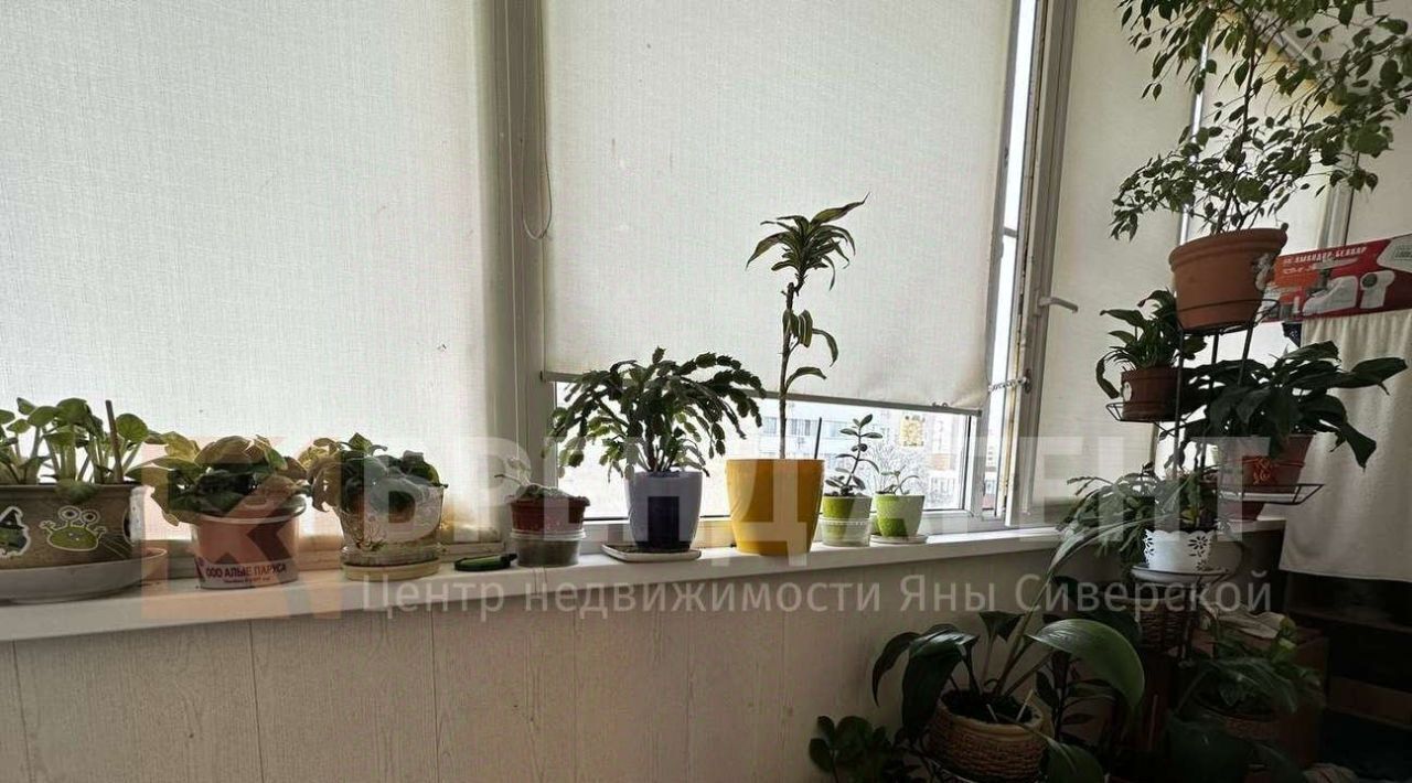 квартира г Белгород Западный ул Буденного 17в фото 8