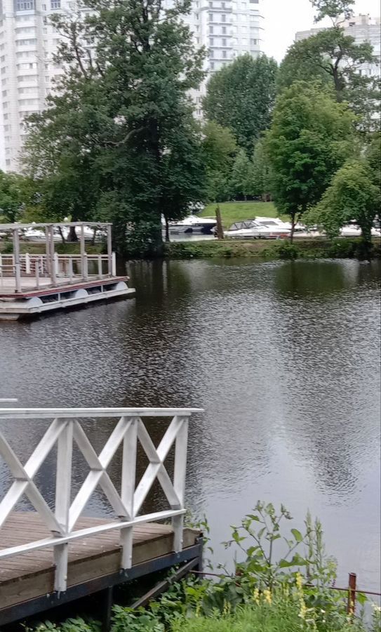 квартира г Санкт-Петербург метро Приморская проезд Галерный 5 фото 29