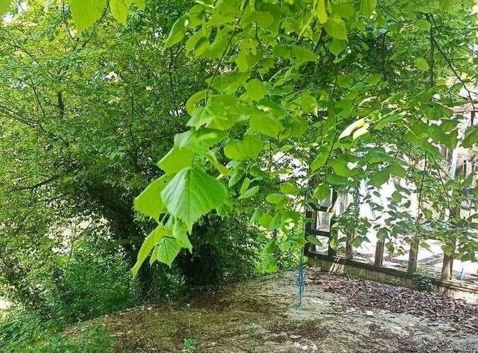 земля г Новороссийск р-н Центральный ул Павлика Морозова 43 фото 15