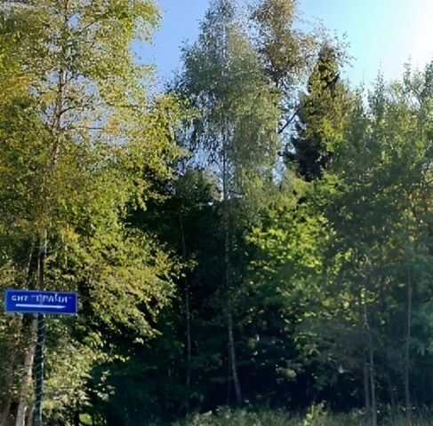снт Грачи 56 фото