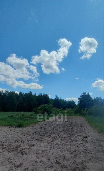 дом г Выкса с Полдеревка ул Школьная 29 фото 10
