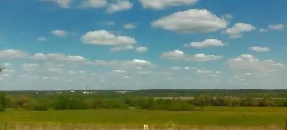 Трубино с пос фото