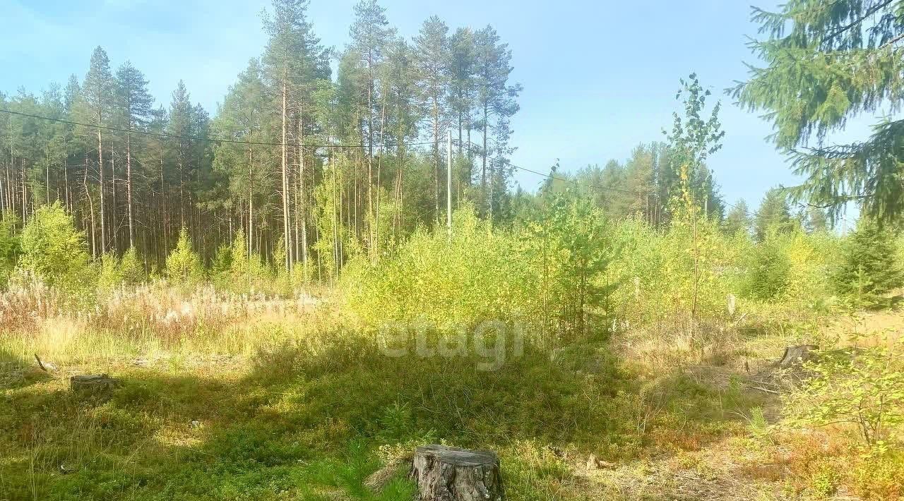земля г Сыктывкар Лемское тер., Лазурное СНТ, проезд 5-й фото 4