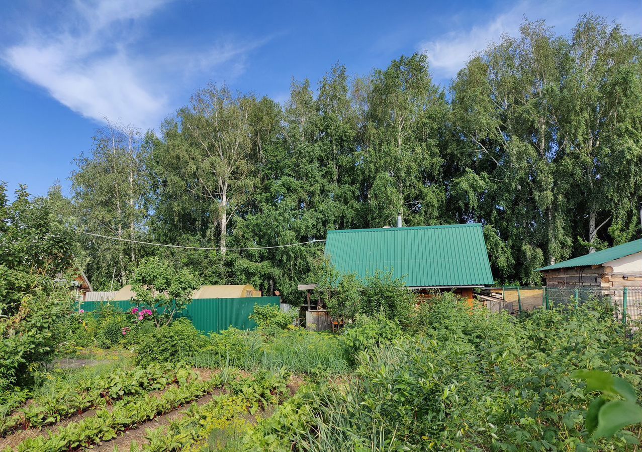 земля г Екатеринбург р-н Чкаловский снт Ромашка фото 4