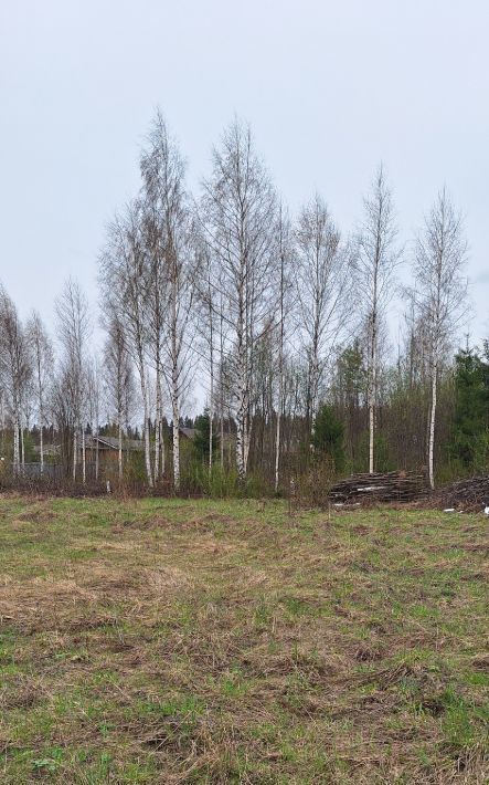 земля г Ижевск р-н Ленинский ул Вербовая 1 фото 3