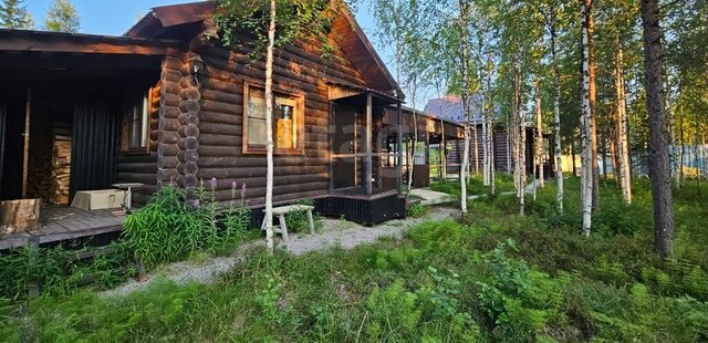 ДНТ Сосновый бор фото