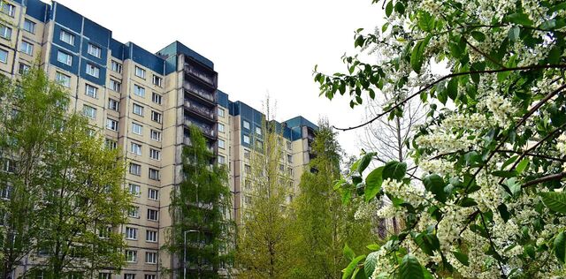 метро Автово ул Маршала Казакова 24к/2 фото