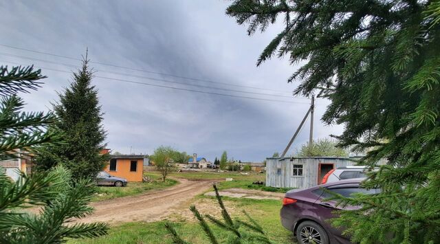 Совхоз кв-л фото