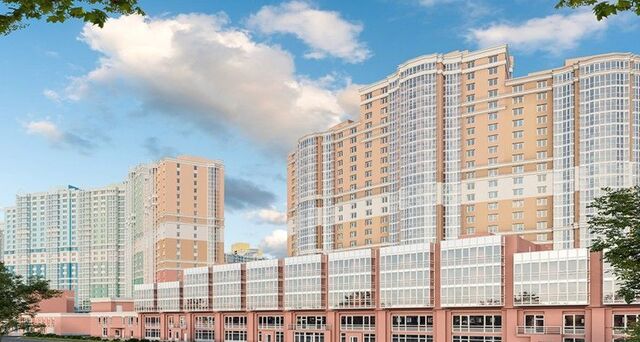 метро Проспект Просвещения ул Кустодиева 7к/1 фото