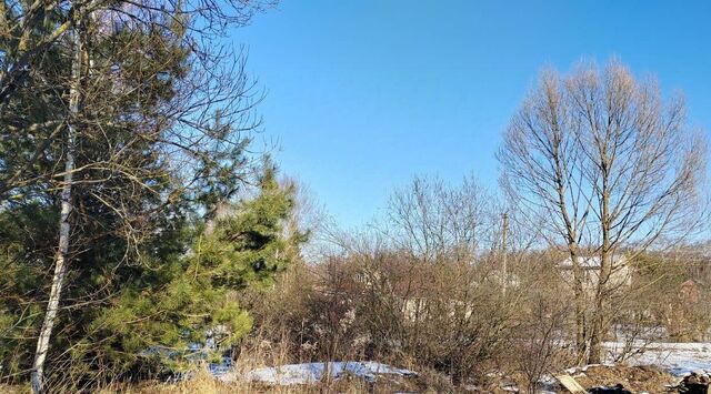 городской округ Чехов д Леониха фото