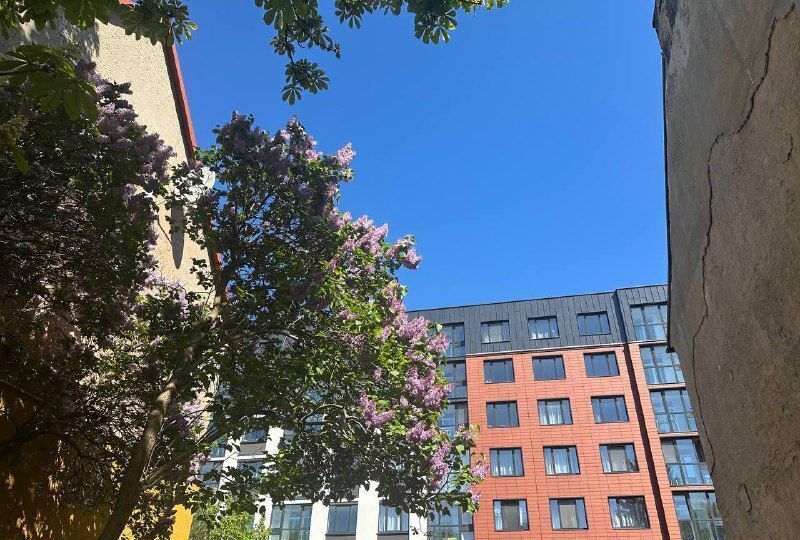 квартира г Калининград р-н Ленинградский ул Куйбышева 84 фото 4