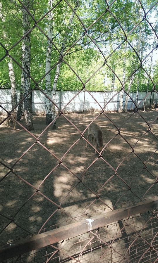 дом г Барнаул р-н Центральный снт Центральное фото 1