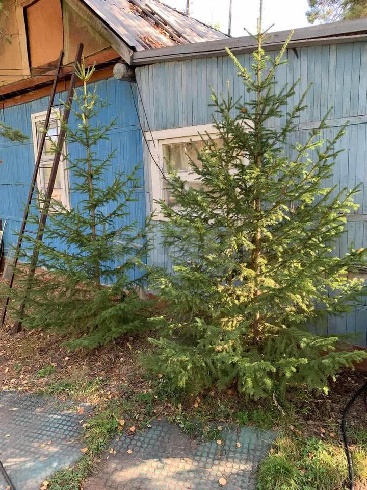 дом г Якутск тракт Вилюйский 13 км Дачный посёлок «13-й км Вилюйского тракта» фото 7
