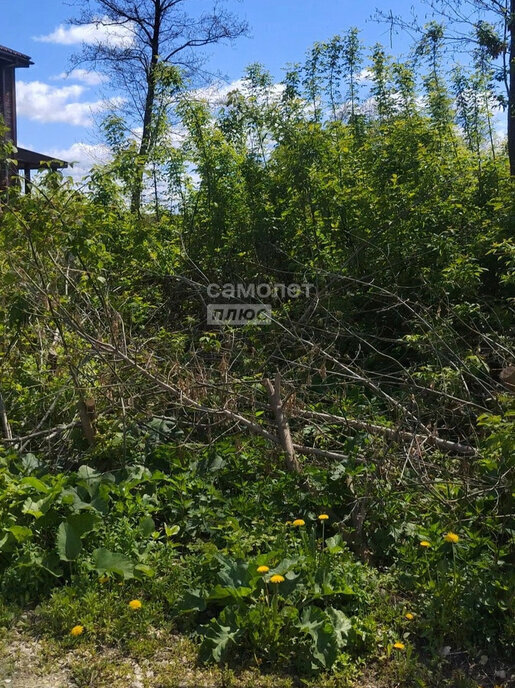 земля г Дзержинск территория Бабушкино, Совхозная улица, 8 фото 3