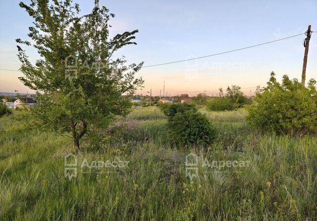 снт Усадьба ул 4-я Городищенское городское поселение, Волгоград фото