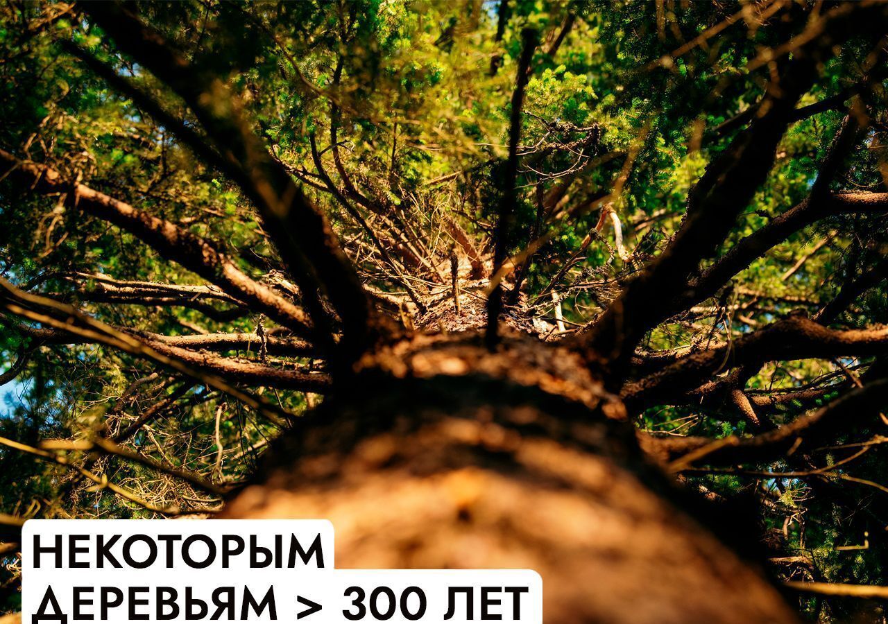 земля г Истра Павловская Слобода, 22 км, коттеджный пос. Миллениум Парк, Минское шоссе фото 9
