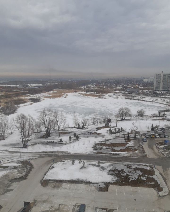 квартира г Новосибирск р-н Ленинский ул Забалуева 102/2 фото 2
