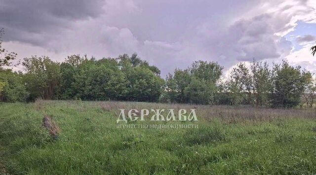 пр-кт Комсомольский 2б фото