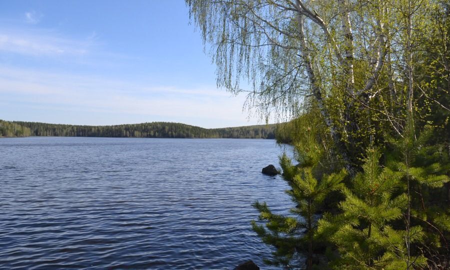 земля г Первоуральск п Флюс ул Линейная 19б Екатеринбург фото 3
