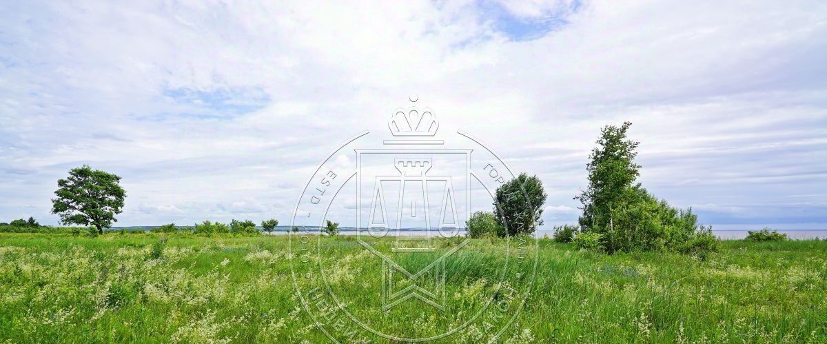 земля р-н Лаишевский г Лаишево ул Ленина фото 11