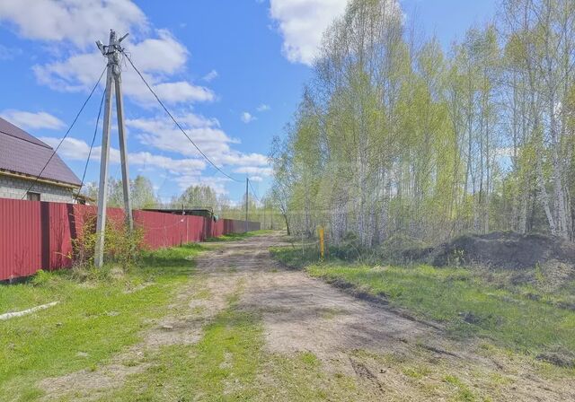 Каскара фото