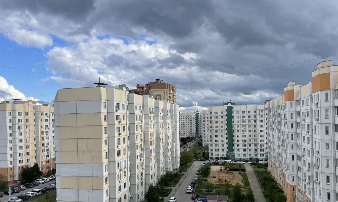 квартира г Воронеж р-н Советский ул 9 Января 241/14 фото 10