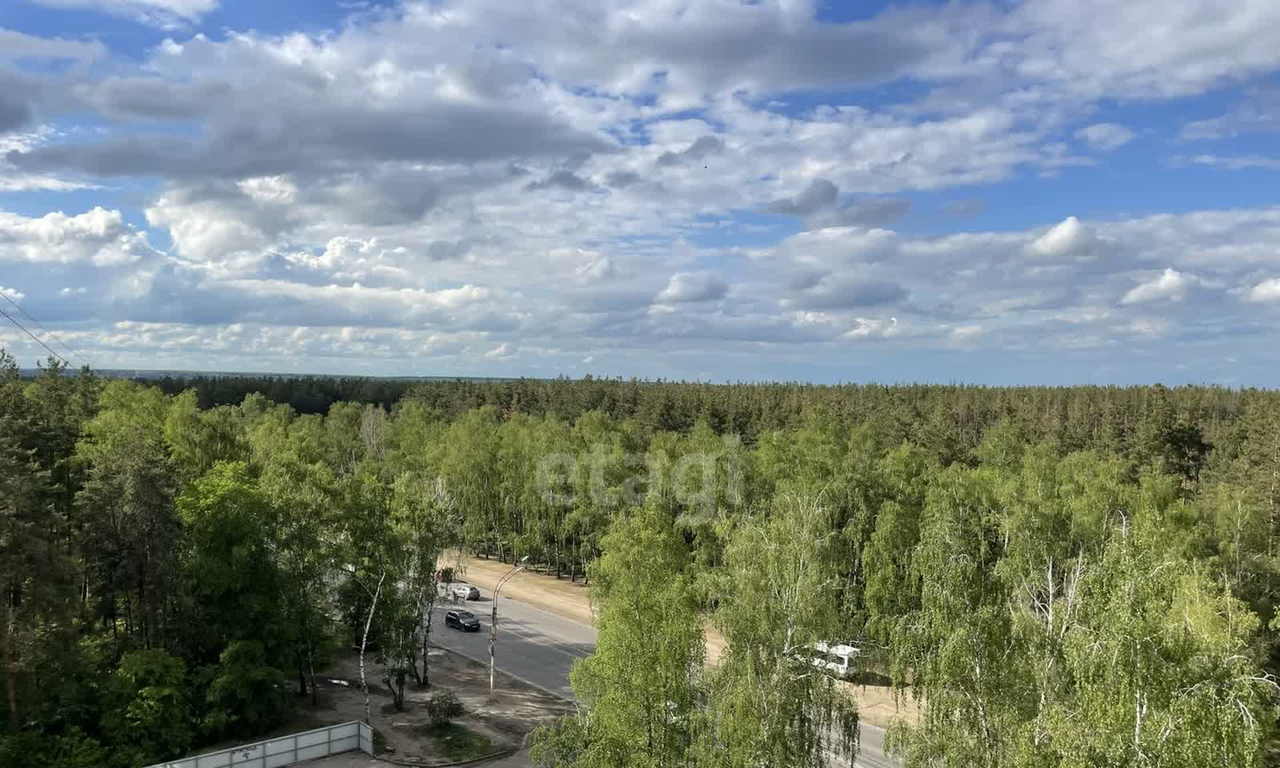 квартира г Воронеж р-н Советский ул 9 Января 241/14 фото 21