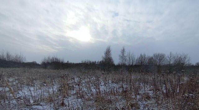 с Нижнее Хорошово Коломна городской округ фото