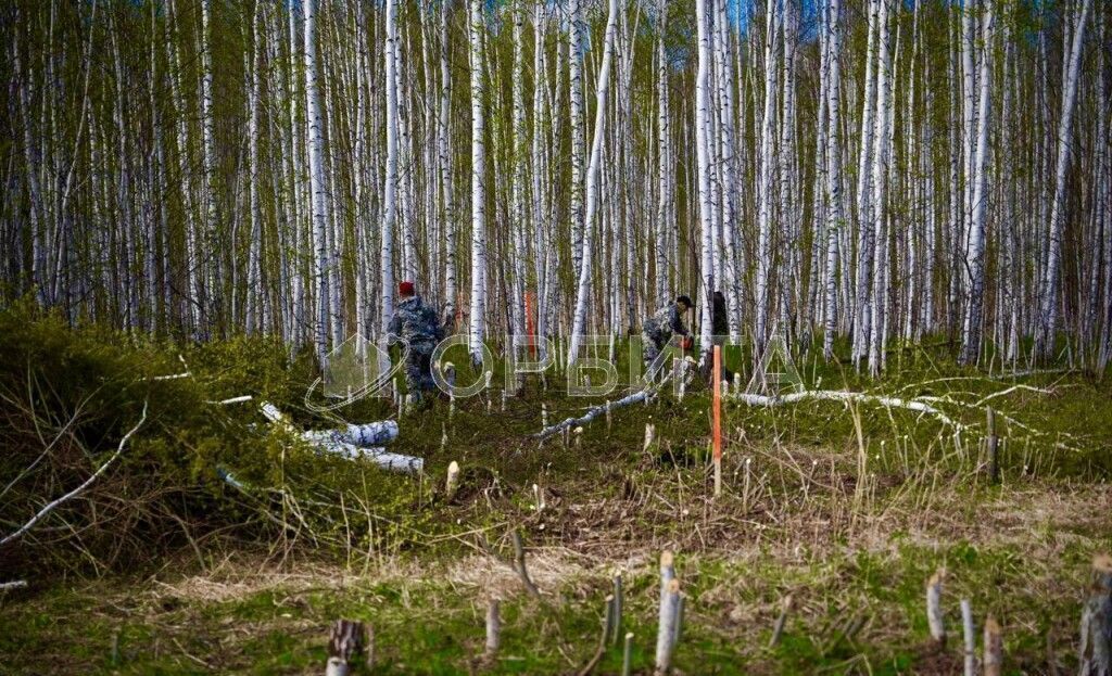 земля г Тюмень снт тер.Загородный дом фото 4