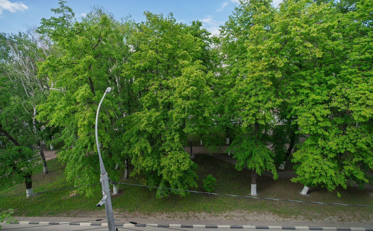квартира г Ульяновск р-н Ленинский б-р Пластова 6 фото 18