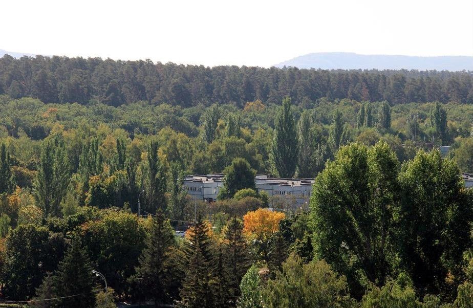 квартира г Тольятти р-н Автозаводский ул Фрунзе 2в фото 15