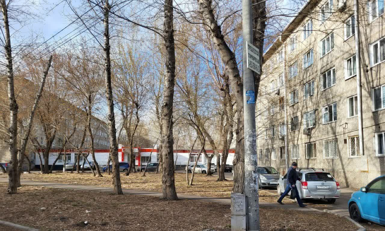 квартира г Красноярск р-н Советский Зеленая Роща ул Воронова 47 фото 14