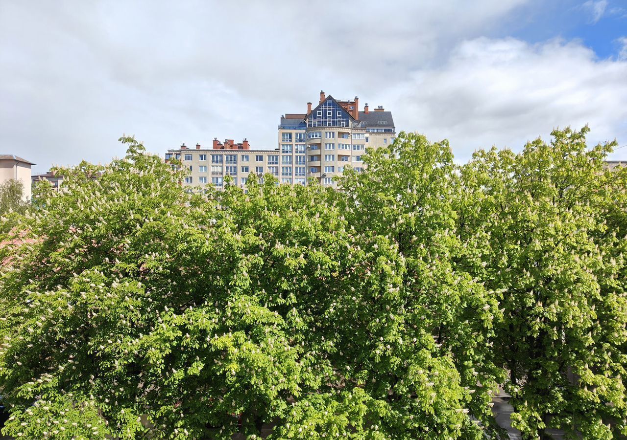 квартира г Калининград р-н Центральный ул Красная 93 фото 14