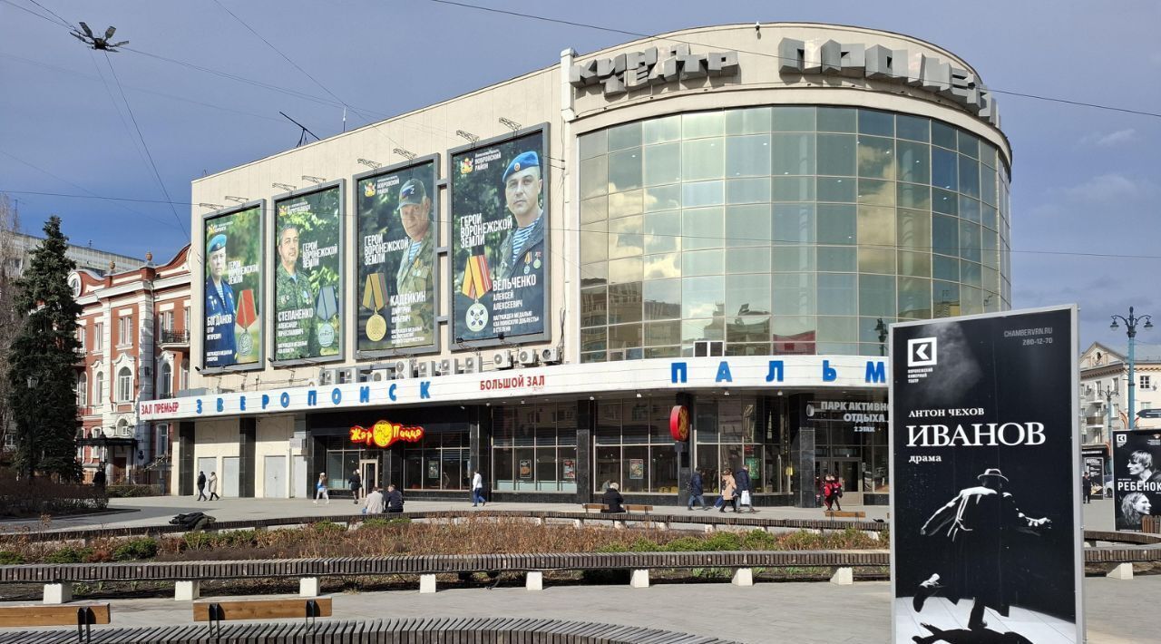 квартира г Воронеж р-н Центральный ул Пушкинская 2 фото 4