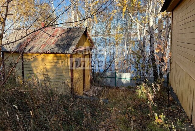 земля снт Исеть-1 фото