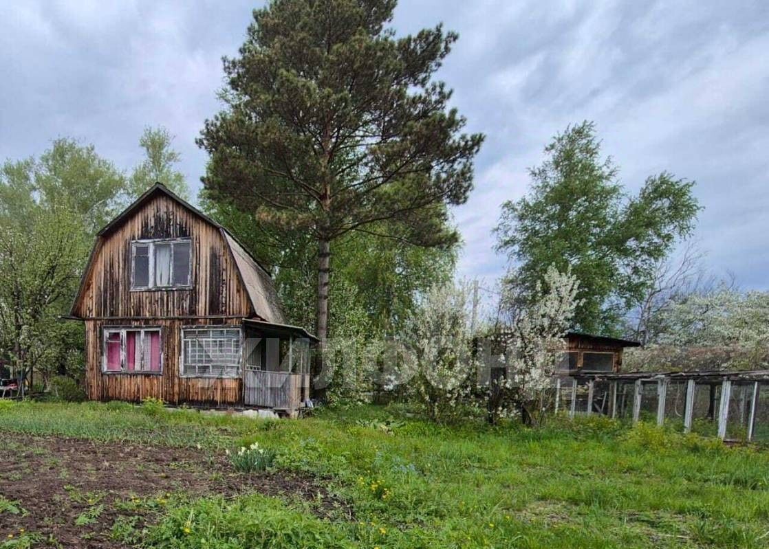 дом г Новосибирск р-н Первомайский Речной вокзал снт Садовод 231 фото 1