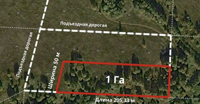 земля Залинейный 27 км, Раменский муниципальный округ, Егорьевское шоссе фото