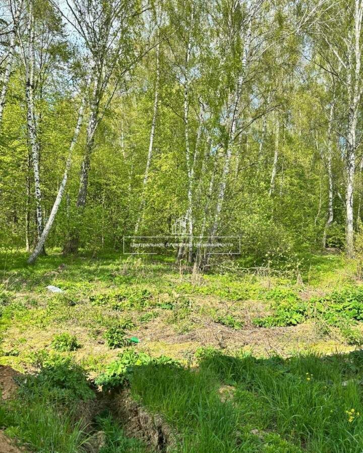дом г Домодедово д Минаево 33 км, 192, Троицкое, Новокаширское шоссе фото 17